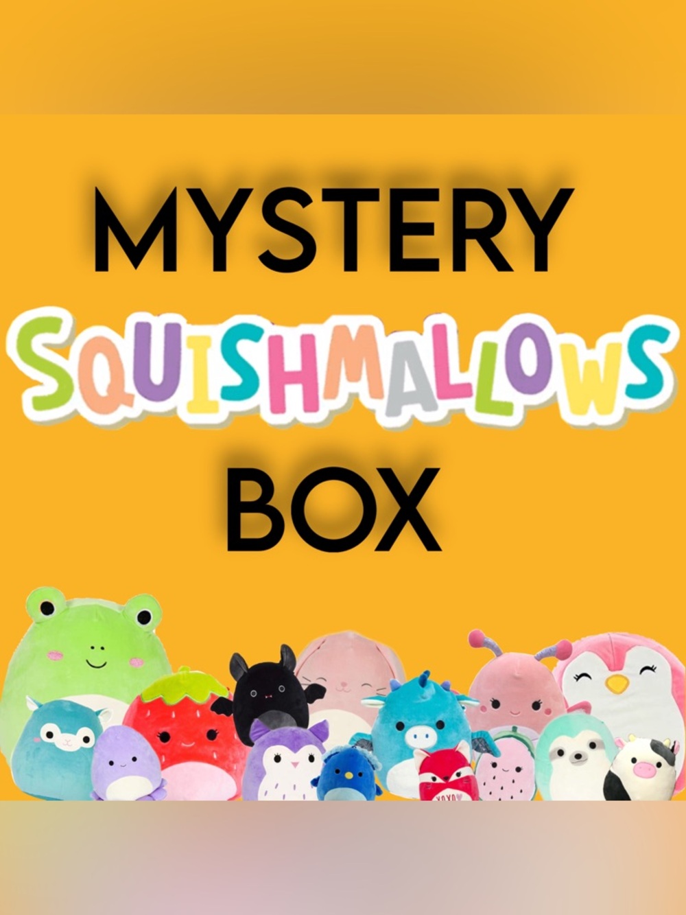 Mystery Squishmallows Box Assortment (5-6)